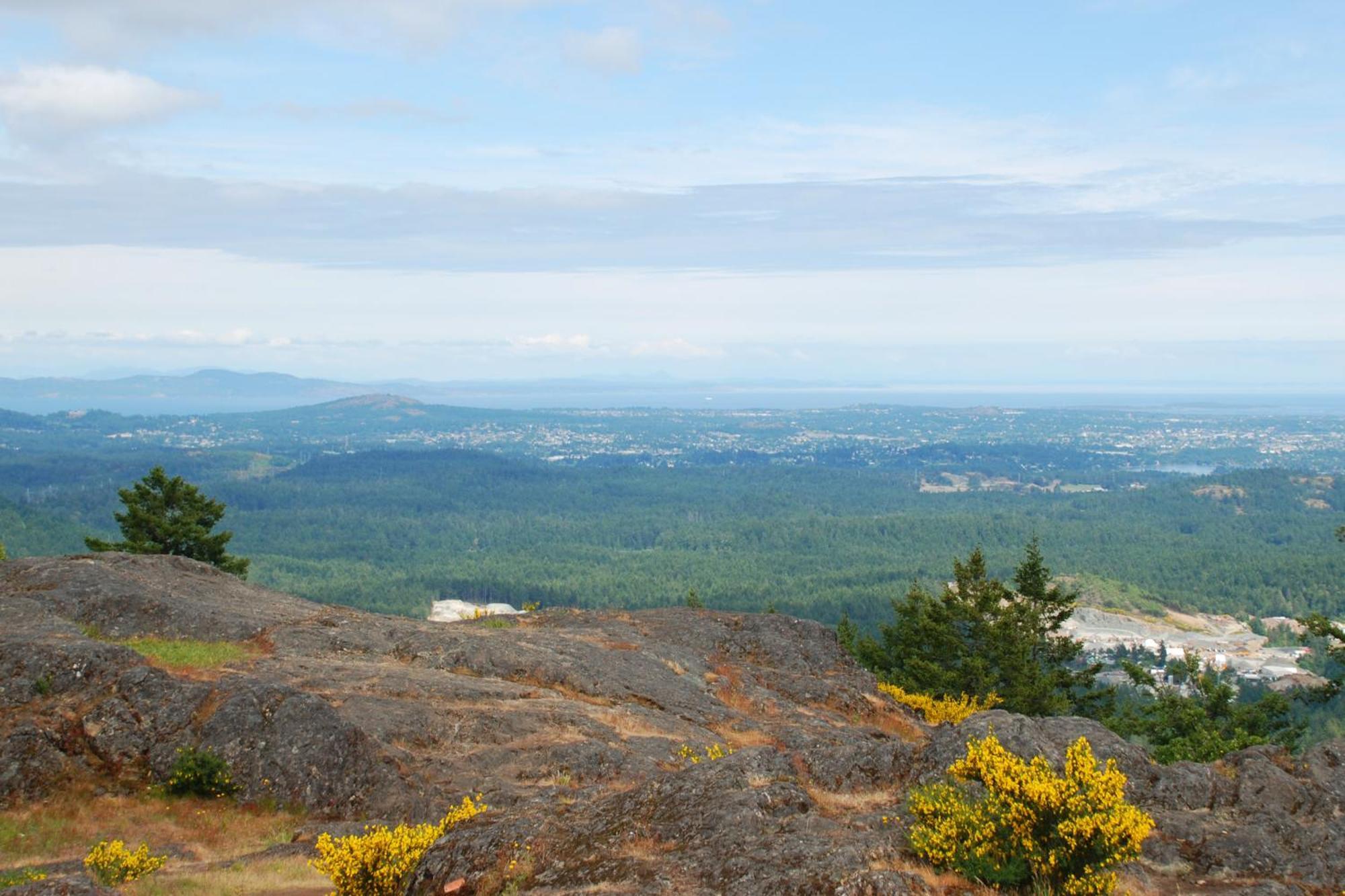 Shawnigan Suite B & B Shawnigan Lake Екстер'єр фото