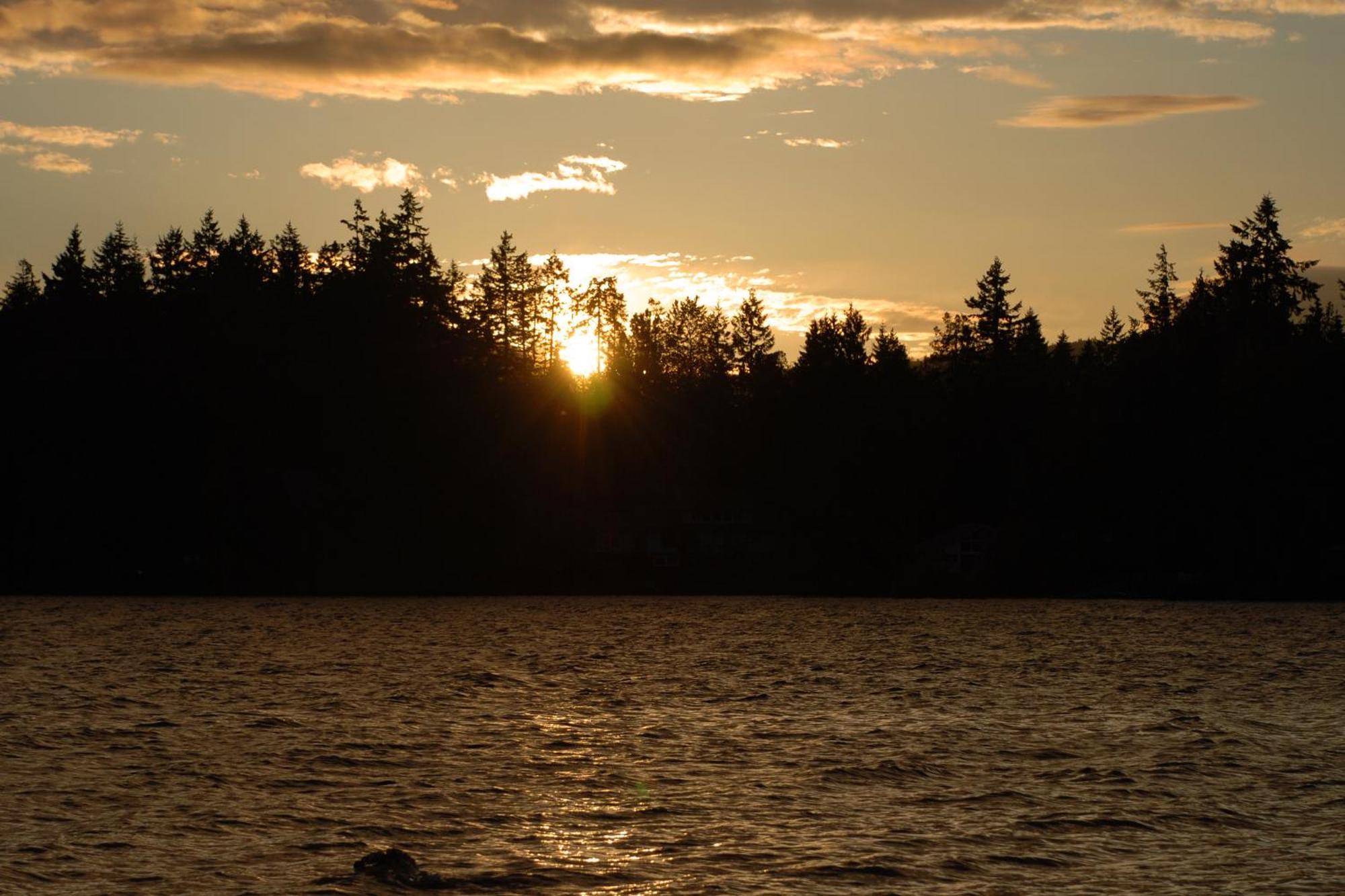 Shawnigan Suite B & B Shawnigan Lake Екстер'єр фото